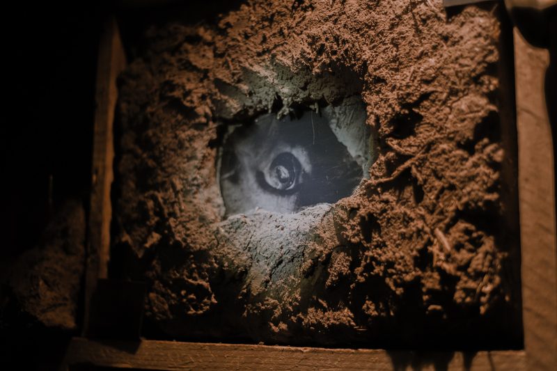 Aqua Vitae — Casa Fósfora, 2026 — Exhibition photograph 16