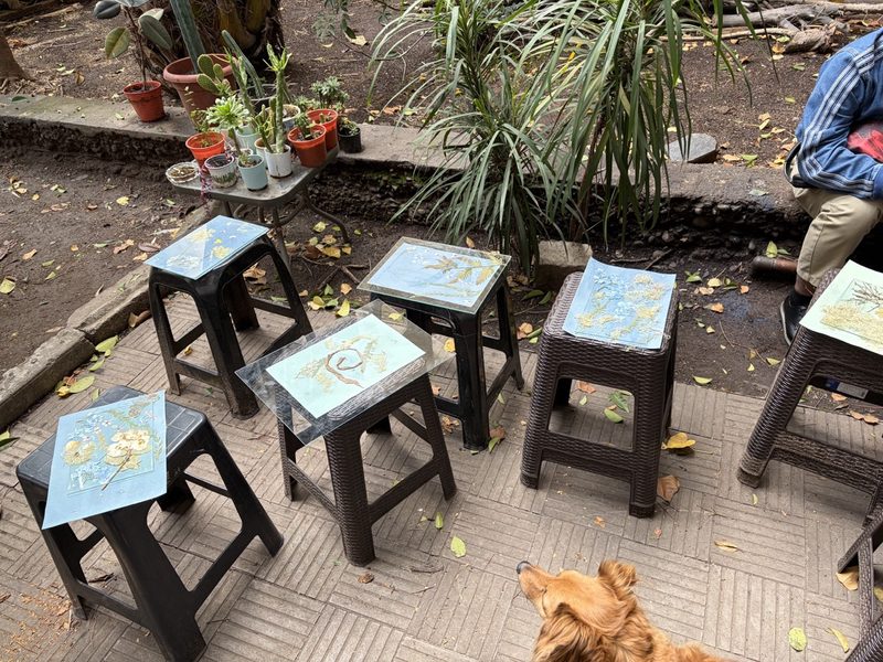 Copias al sol sobre pisos en el patio