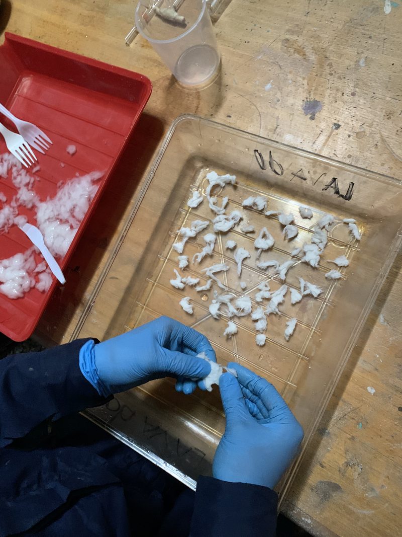 Collodion Journal — process photograph 1