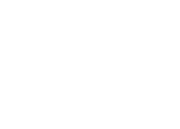 Fósfora
